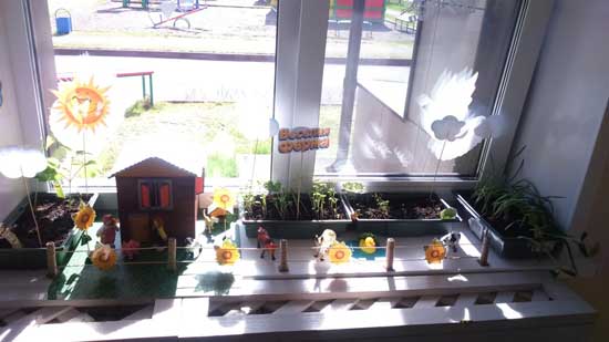 Экологический проект огород на окне
