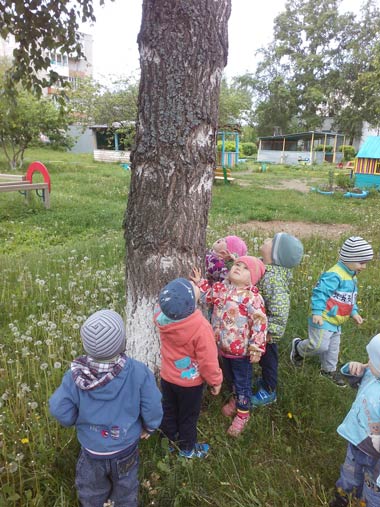 Экскурсия по территории детского сада